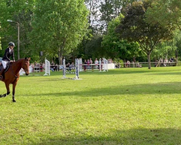 Video of Riscaldo