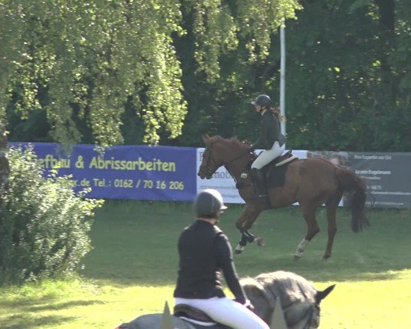 Reitturnier Scharnebeck 2024
