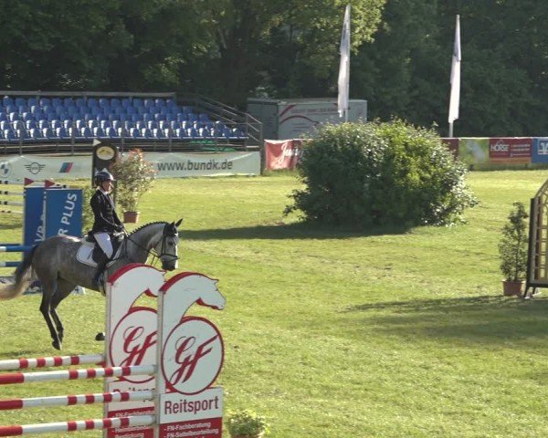 Reitturnier Scharnebeck 2024
