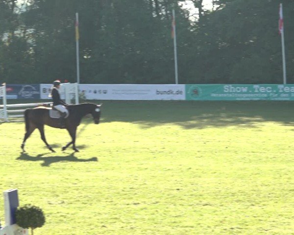 Reitturnier Scharnebeck 2024