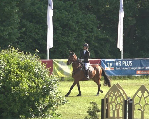 Reitturnier Scharnebeck 2024