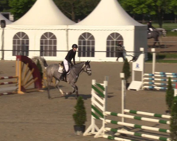 Reitturnier Hamm-Rhynern 2024