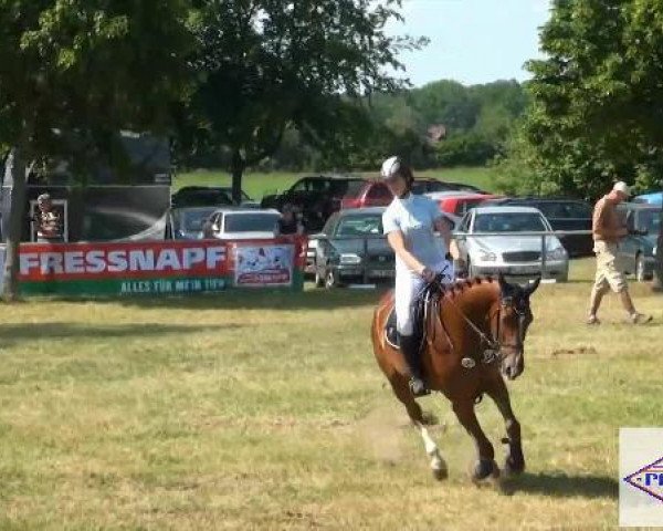 Pfingst-Reitturnier Kreuzkrug-Raddestorf 2012