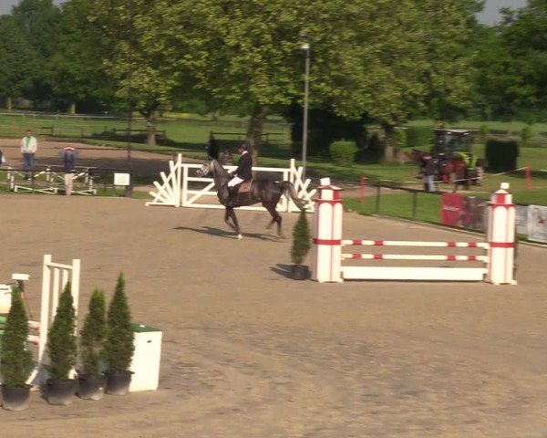 Reitturnier Hamm-Rhynern 2024