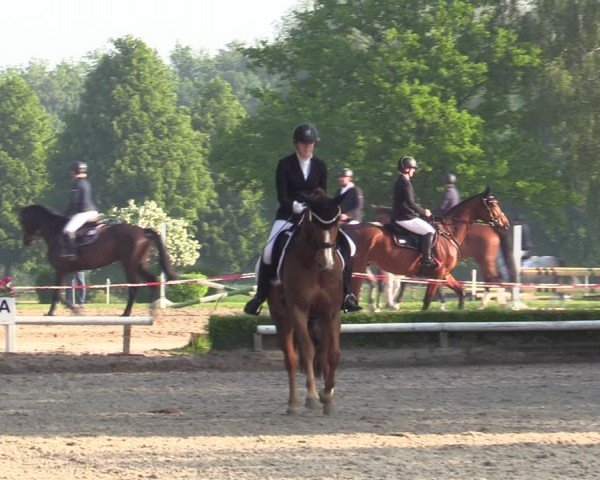 Reitturnier Hamm-Rhynern 2024