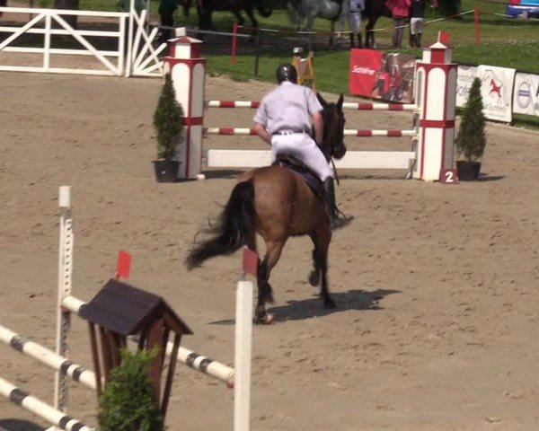 Reitturnier Hamm-Rhynern 2024