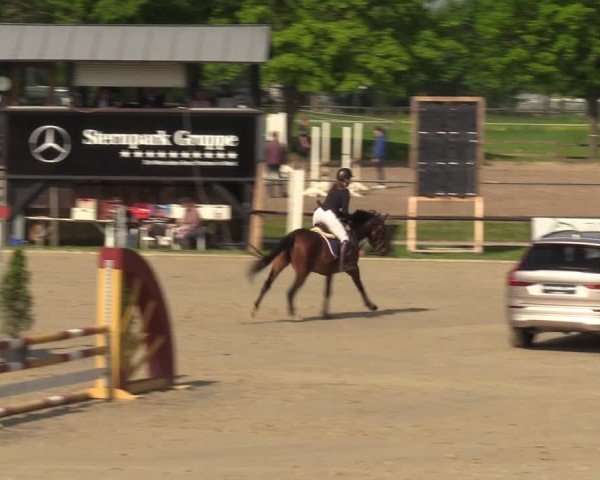 Reitturnier Hamm-Rhynern 2024