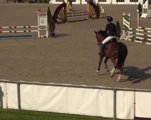 Reitturnier Hamm-Rhynern 2024