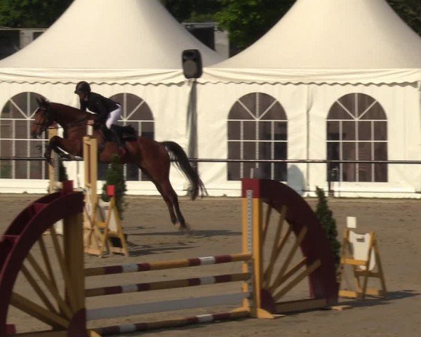 Reitturnier Hamm-Rhynern 2024