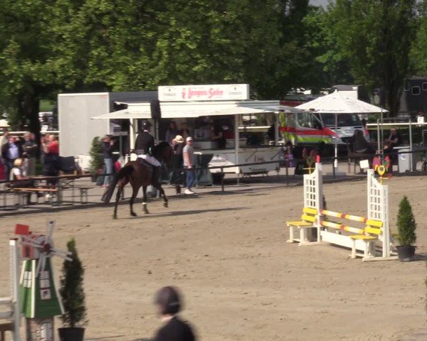 Reitturnier Hamm-Rhynern 2024