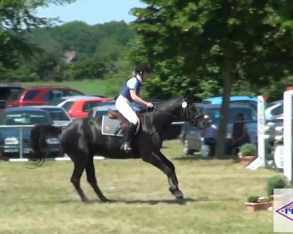 Pfingst-Reitturnier Kreuzkrug-Raddestorf 2012