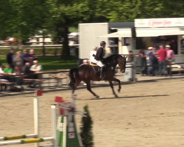 Reitturnier Hamm-Rhynern 2024