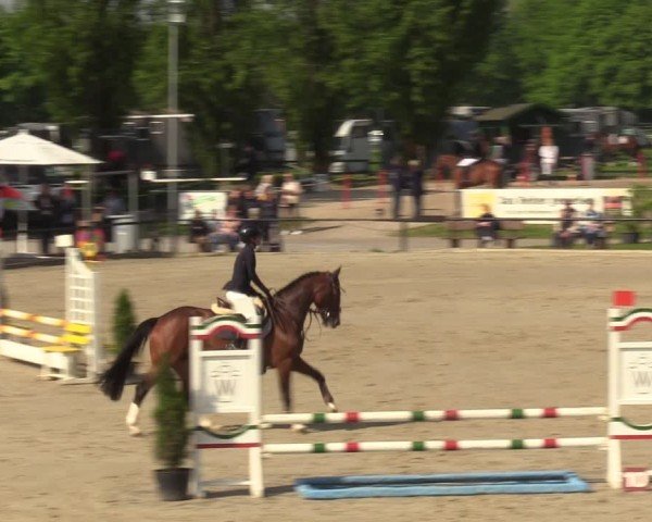 Reitturnier Hamm-Rhynern 2024