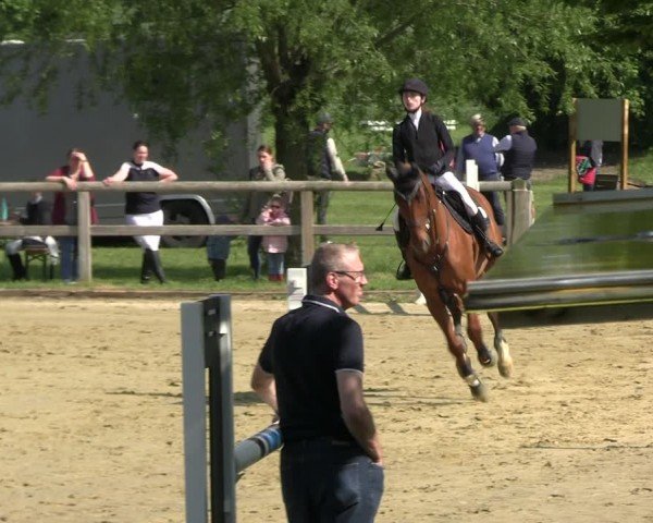 Reitturnier Lienen 2024