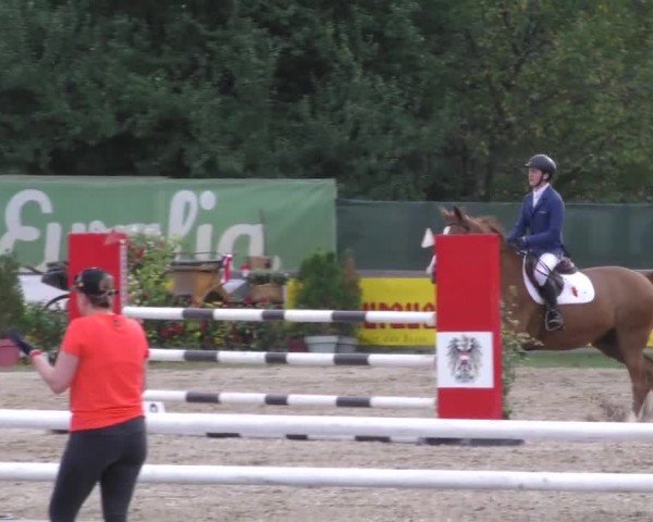 Reitturnier Gniebing-Feldbach 2022