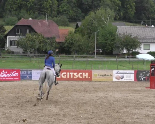 Reitturnier Gniebing-Feldbach 2022