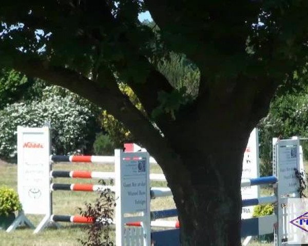 Pfingst-Reitturnier Kreuzkrug-Raddestorf 2012