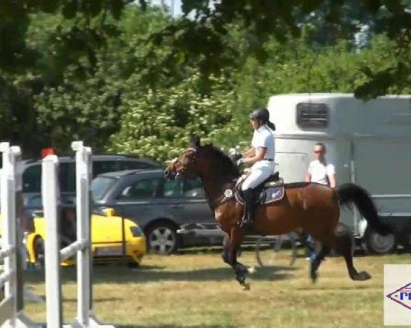 Pfingst-Reitturnier Kreuzkrug-Raddestorf 2012