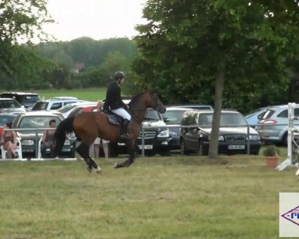 Pfingst-Reitturnier Kreuzkrug-Raddestorf 2012