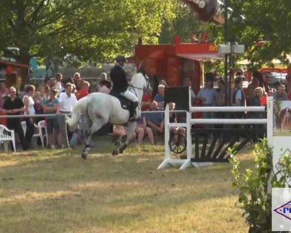 Pfingst-Reitturnier Kreuzkrug-Raddestorf 2012