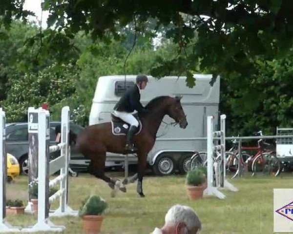 Pfingst-Reitturnier Kreuzkrug-Raddestorf 2012