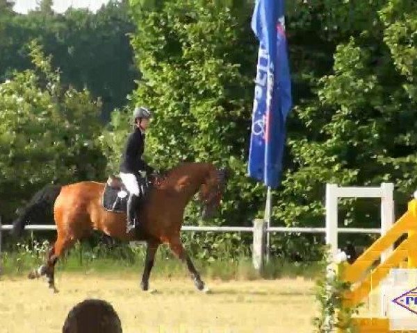 Pfingst-Reitturnier Kreuzkrug-Raddestorf 2012