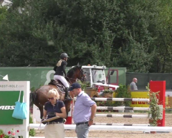 Reitturnier Gniebing-Feldbach 2022