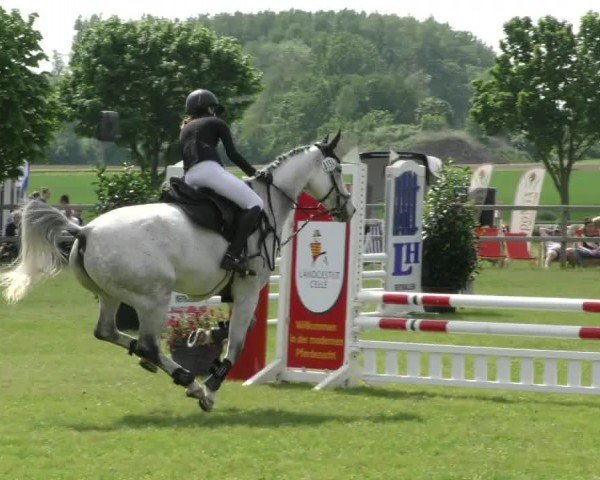 Reitturnier Wilkenburg 2024