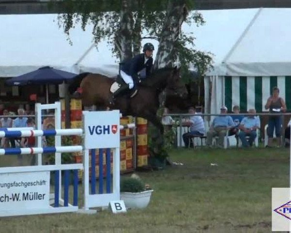 Pfingst-Reitturnier Kreuzkrug-Raddestorf 2012
