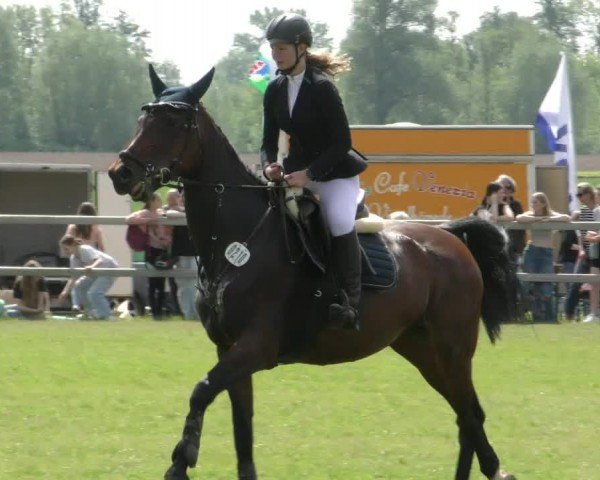Reitturnier Wilkenburg 2024