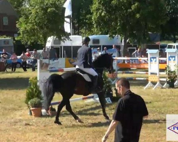 Pfingst-Reitturnier Kreuzkrug-Raddestorf 2012