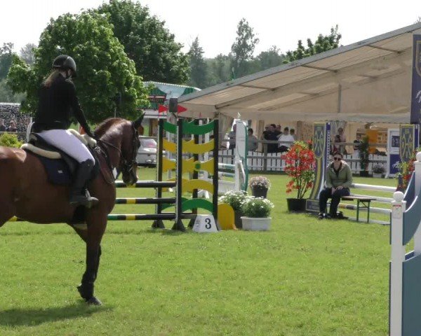 Reitturnier Wilkenburg 2024
