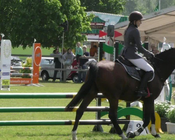 Reitturnier Wilkenburg 2024