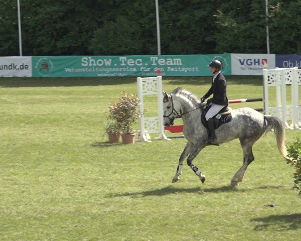 Reitturnier Scharnebeck 2024