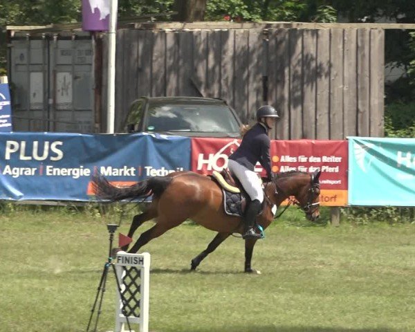 Reitturnier Scharnebeck 2024