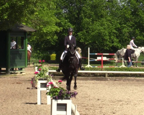 Reitturnier Hamm-Rhynern 2024