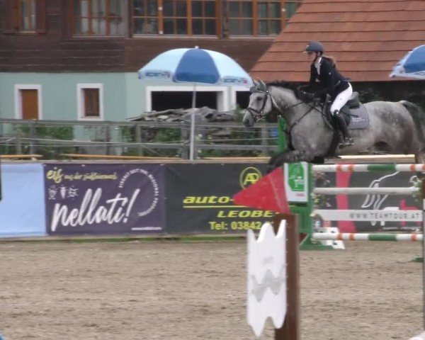 Reitturnier Gniebing-Feldbach 2022
