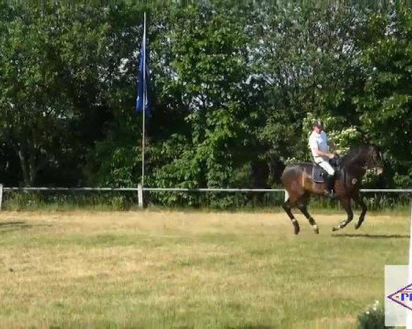 Pfingst-Reitturnier Kreuzkrug-Raddestorf 2012