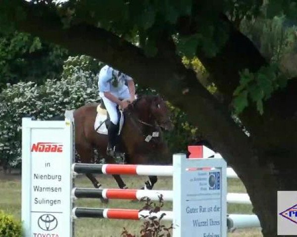 Pfingst-Reitturnier Kreuzkrug-Raddestorf 2012