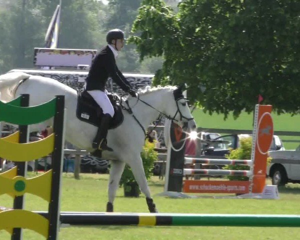 Reitturnier Wilkenburg 2024