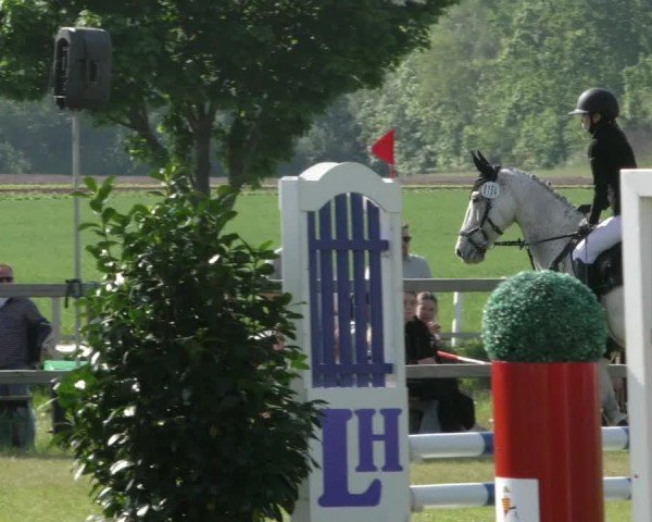 Reitturnier Wilkenburg 2024