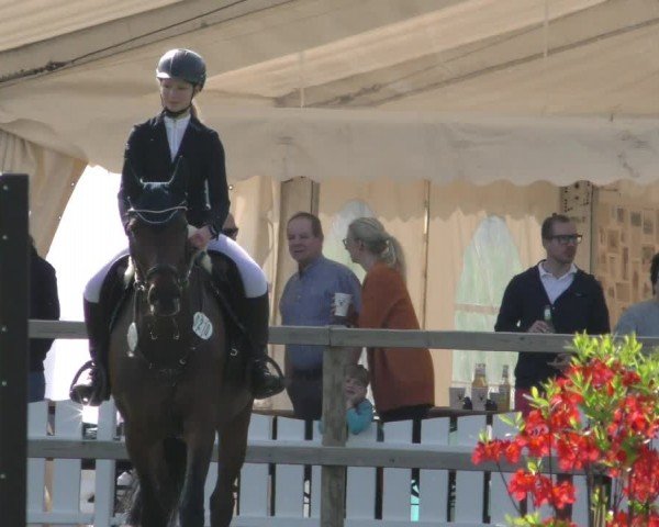 Reitturnier Wilkenburg 2024