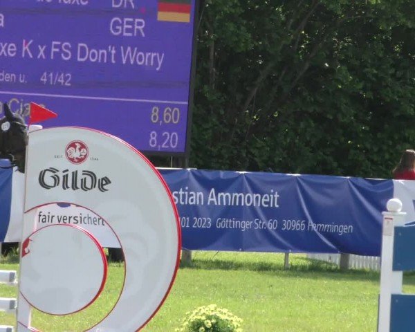 Reitturnier Wilkenburg 2024