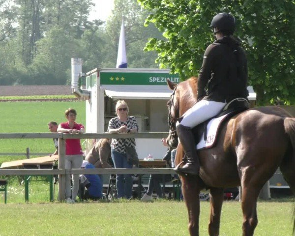 Reitturnier Wilkenburg 2024