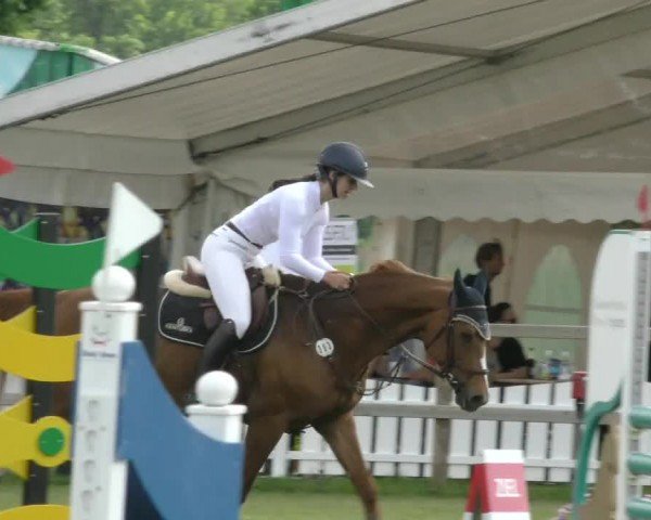 Reitturnier Wilkenburg 2024