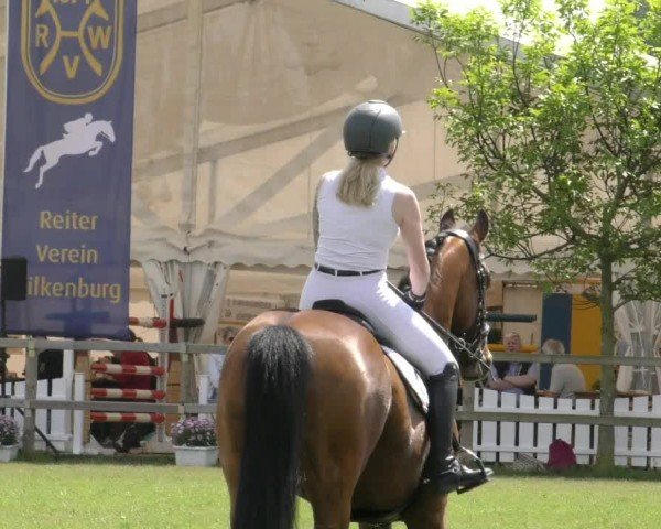 Reitturnier Wilkenburg 2024