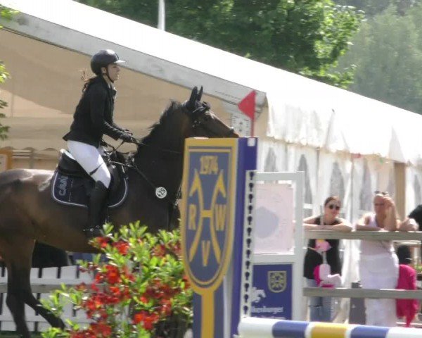 Reitturnier Wilkenburg 2024