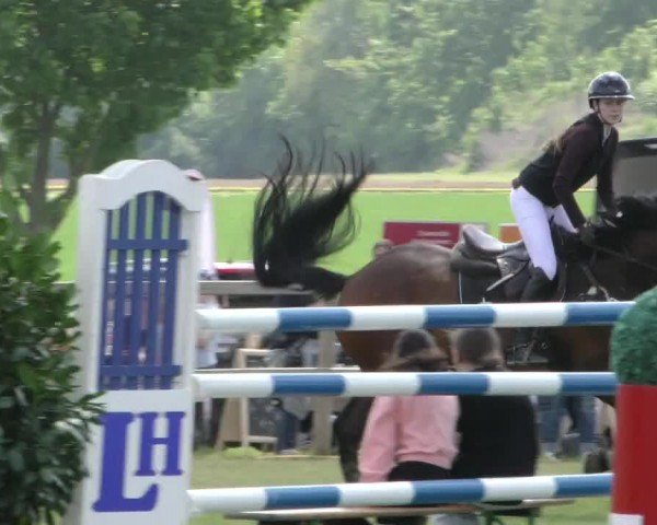 Reitturnier Wilkenburg 2024