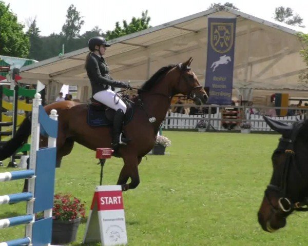 Reitturnier Wilkenburg 2024