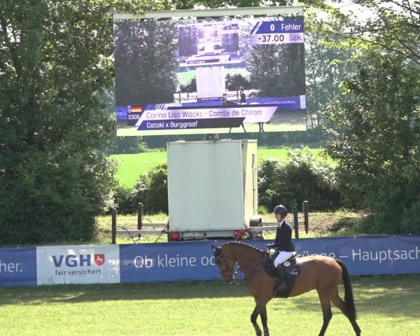 Reitturnier Scharnebeck 2024